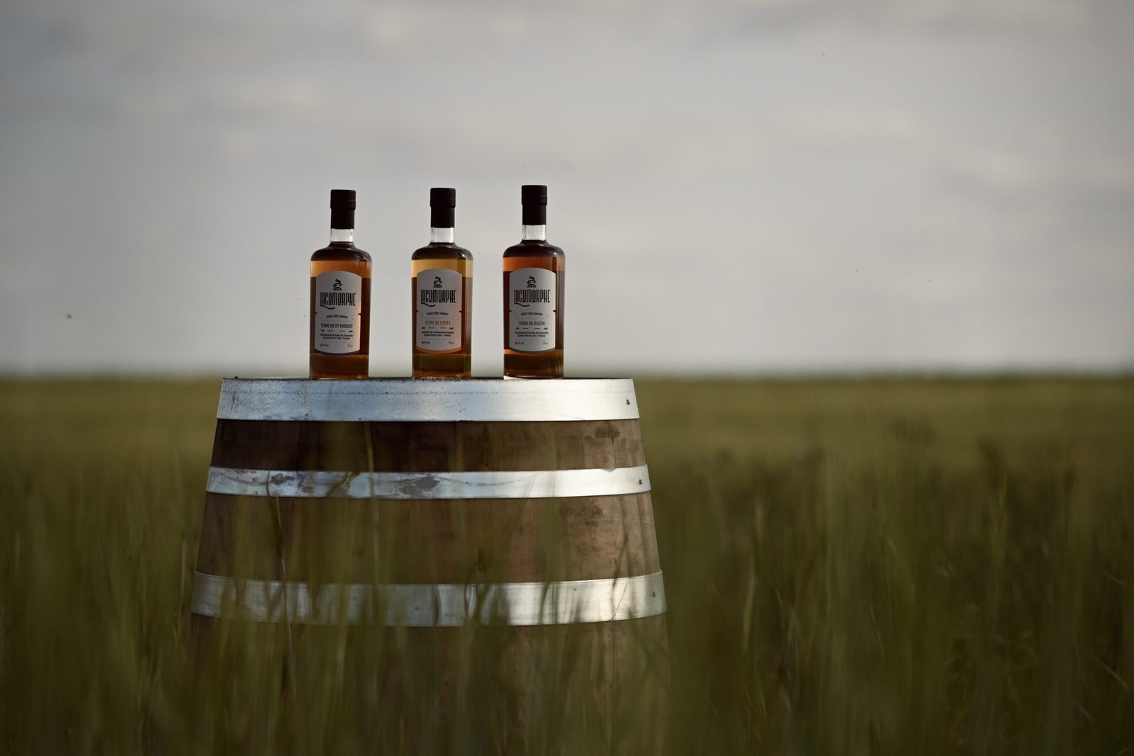 La ferme-distillerie de Faronville, en Beauce